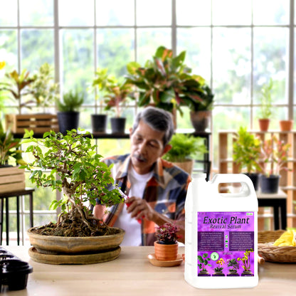 Exotic Plant Revival Serum - Transforms stressed plants into resilient green sculptures