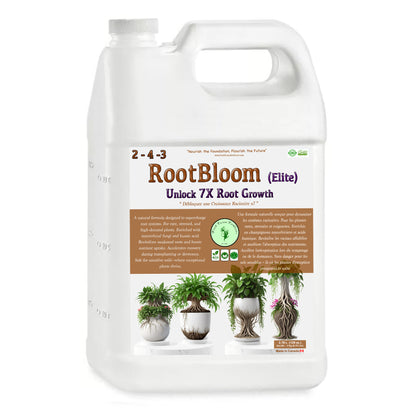 RootBloom Elite - The underground revolution for roots