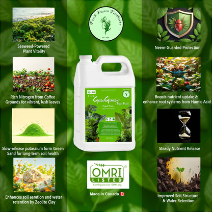 GreenGlamour (Foliage Formula)